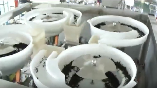 Envasadora de té en saquitos piramidales